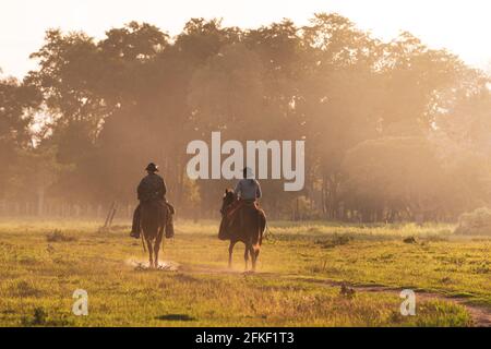 Pantaneiro Cowboys reiten auf einer Fazenda in Süd-Pantanal, Brasilien Stockfoto