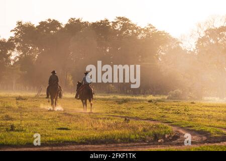 Pantaneiro Cowboys reiten auf einer Fazenda in Süd-Pantanal, Brasilien Stockfoto