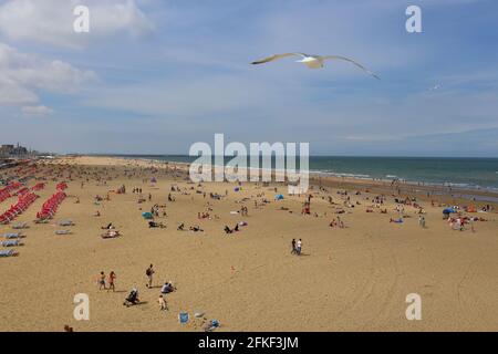 Sommerzeit am Sandstrand von Niederlande Stockfoto