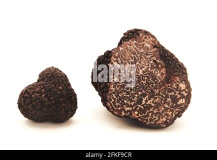 Schwarze Trüffel und Eichenblätter isoliert auf weißem Hintergrund. Stockfoto