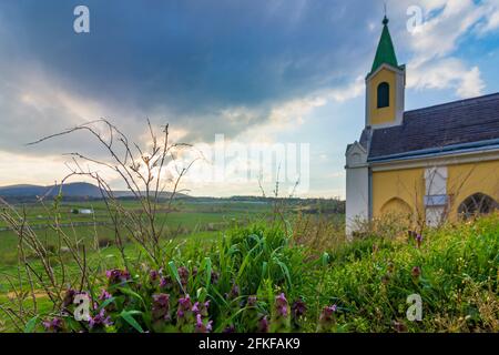 Guntramsdorf: Kapelle Weingartenkapelle, Weinberg, Berg Anninger in Wienerwald, Wienerwald, Niederösterreich, Niederösterreich, Österreich Stockfoto