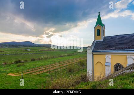 Guntramsdorf: Kapelle Weingartenkapelle, Weinberg, Berg Anninger in Wienerwald, Wienerwald, Niederösterreich, Niederösterreich, Österreich Stockfoto