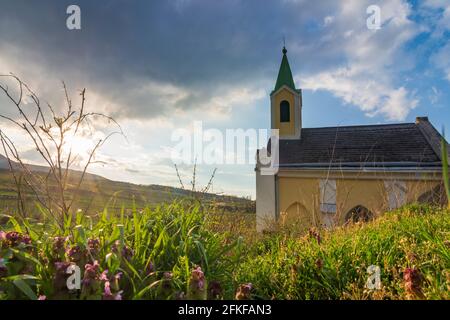 Guntramsdorf: Kapelle Weingartenkapelle, Weinberg, Berg Anninger in Wienerwald, Wienerwald, Niederösterreich, Niederösterreich, Österreich Stockfoto