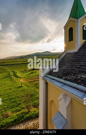 Guntramsdorf: Kapelle Weingartenkapelle, Weinberg, Berg Anninger in Wienerwald, Wienerwald, Niederösterreich, Niederösterreich, Österreich Stockfoto