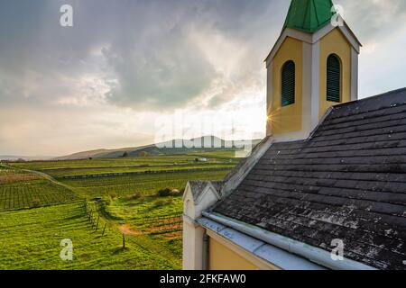 Guntramsdorf: Kapelle Weingartenkapelle, Weinberg, Berg Anninger in Wienerwald, Wienerwald, Niederösterreich, Niederösterreich, Österreich Stockfoto