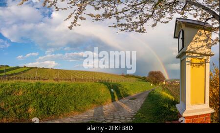 Guntramsdorf: 11. Station des Kreuzes bei der Kapelle Weingartenkapelle, Kirschblüte, Weinberg, Regenbogen im Wienerwald, Wienerwald, Niederösterreich, L Stockfoto