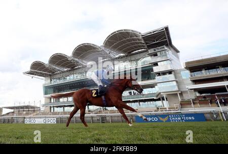 Mohaafeth wird von Jockey Jim Crowley auf dem Weg zum Gewinn der Betfair Newmarket-Einsätze am 2000 Guineas Day, einem Teil des QIPCO Guineas Festivals auf der Newmarket Racecourse, gefahren. Bilddatum: Samstag, 1. Mai 2021. Stockfoto