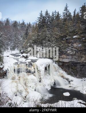 Ein gefrorener Blackwater Falls, bedeckt mit Eis und umgeben von Pinien in Davis, West Virginia, USA Stockfoto