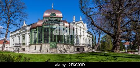 Die schmiedeeiserne Wintergarten-Halle der Lenck Villa, erbaut 1890, renoviert 2020, mit 130 Jahre alten Ginkgo biloba Baum, Sopron, Ungarn Stockfoto