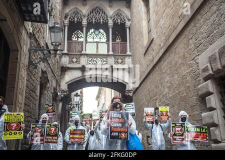 Barcelona, Katalonien, Spanien. Mai 2021. Die Demonstranten werden vor der Bishop's Bridge in Barcelona mit Spruchbändern gesehen, auf denen stand, dass der Verzehr von Tieren zu Pandemien führt.die Vertreter von Animal Rebellion, einer internationalen Bewegung für den Kampf für ein nachhaltiges Ernährungssystem, Klimagerechtigkeit und Tierschutz, aus Barcelona haben sich am Samstag, den 1. Mai, Für eine globale Aktion, die in verschiedenen Städten auf der ganzen Welt durchgeführt wird, um zu warnen, was Tiere zu fressen ist die Ursache von Pandemien. Quelle: Thiago Prudencio/DAX/ZUMA Wire/Alamy Live News Stockfoto