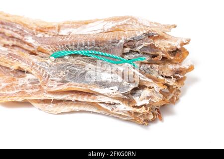 Getrockneter schwarzmauerwels (Galeus melastomus) oder bekannt als litao in der Stadt olhao, portugal. Stockfoto