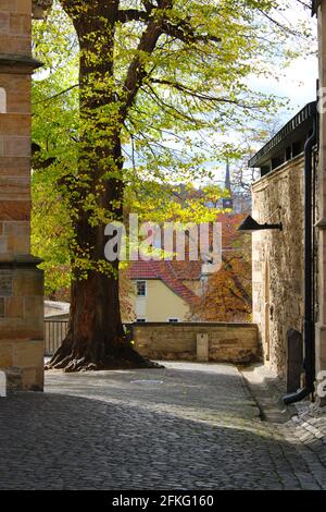 Erfurt, Hauptstadt von Thüringen, Deutschland: Im Hof zwischen Dom und St. Severi Stockfoto