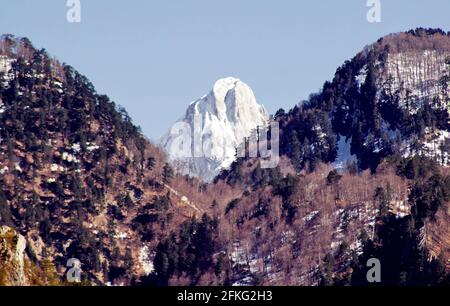 Schöne Aufnahme von baumbedeckten Bergen Stockfoto