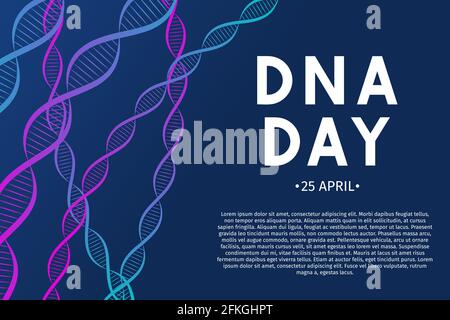 DNA Day Typografie Poster. Vektordarstellung „Science Concept“. Neon-Helix des menschlichen DNA-Moleküls. Leicht zu bearbeitende Vorlage für Banner, Flyer, Broschüre, g Stock Vektor