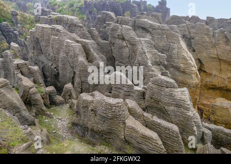 Landschaft rund um die Pancake Rocks im Paparoa National Park in Die Südinsel von Neuseeland Stockfoto