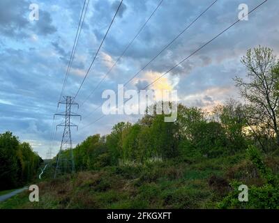 Ein von Regen durchfluteten Fußweg schlängelt sich durch üppig grüne Bäume und Sträucher, während ein dramatischer blau-weißer Himmel mehr Regen droht. Stockfoto