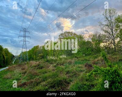 Ein von Regen durchfluteten Fußweg schlängelt sich durch üppig grüne Bäume und Sträucher, während ein dramatischer blau-weißer Himmel Regen von oben bedroht. Stockfoto