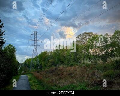 Ein von Regen durchfluteten Fußweg schlängelt sich durch üppig grüne Bäume und Sträucher, während ein dramatischer blau-weißer Himmel Regen von oben bedroht. Stockfoto