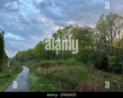 Ein von Regen durchfluteten Fußweg schlängelt sich durch üppig grüne Bäume und Sträucher, während ein dramatischer blau-weißer Himmel mehr Regen droht. Stockfoto