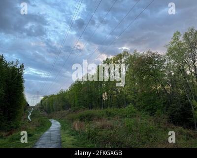 Ein von Regen durchfluteten Fußweg schlängelt sich durch üppig grüne Bäume und Sträucher, während ein dramatischer blau-weißer Himmel mehr Regen droht. Stockfoto