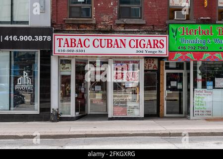 Tabac Cuban Cigar kleines Unternehmen in der Yonge Street in der Innenstadt von Toronto, Kanada Stockfoto