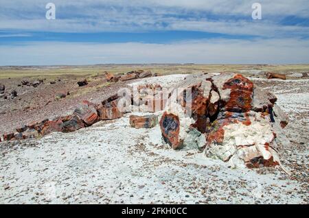 Petrified Forest National Monument Stockfoto