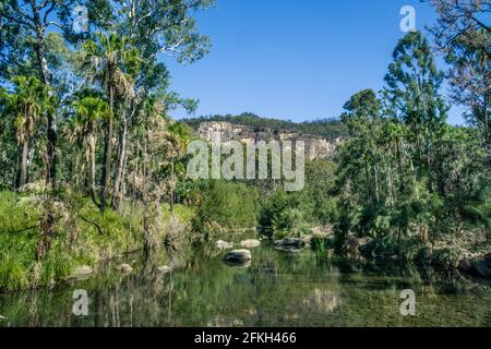 Carnarvon Creek im Carnarvon National Park im Central Queensland Sandstone Belt, Maranoa Region, Queensland, Australien Stockfoto