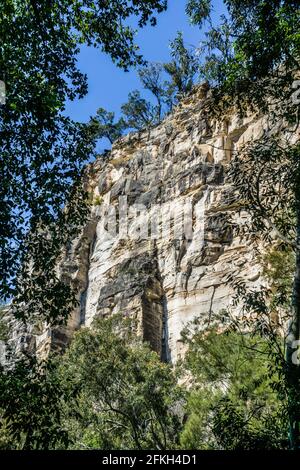 Felswand in Carnarvon Gorge, Carnarvon National Park, Maranoa Region, Central Queensland, Australien Stockfoto