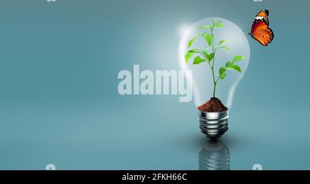Pflanze wächst in der Glühbirne mit Schmetterling. Ökologie, Wachstum, grün denken, Energiesparen, Innovation, Grüne ökologische Energie. Stockfoto