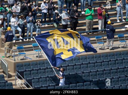 South Bend, Indiana, USA. Mai 2021. Der Cheerleader von Notre Dame schwingt die ND-Flagge während des jährlichen Fußballspiels des Notre Dame Blue-Gold Spring im Notre Dame Stadium in South Bend, Indiana. John Mersits/CSM/Alamy Live News Stockfoto