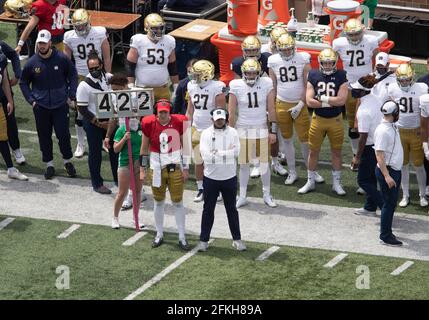 South Bend, Indiana, USA. Mai 2021. Der Cheftrainer von Notre Dame, Tommy Rees, steht am Rande des jährlichen Fußballspiels des Notre Dame Blue-Gold Spring im Notre Dame Stadium in South Bend, Indiana. John Mersits/CSM/Alamy Live News Stockfoto