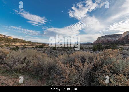 Der Carson National Forest ist einer von fünf National Forest in New Mexico. Stockfoto