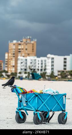 Eine schwarze Krähe, die auf einem blauen Wagen sitzt Am Sandstrand bedrohliche Wolken Stockfoto