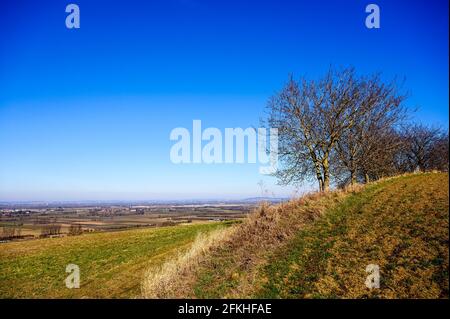 Blick auf eine kleine Stadt von einem Hügel mit knarrigen Bäumen und landwirtschaftlichen Flächen im frühen Frühjahr. Stockfoto