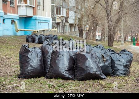 Schwarze Plastikmüllbeutel mit herbstlich getrockneten Blättern. Müllsäcke. Die saisonale Reinigung der Straßen der Stadt von den gefallenen Blättern. Reinigungsservice Stockfoto