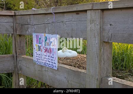 Figgate Park, Edinburgh, Schottland, UK Wetter. Mai 2021. Eine Mahnwache ist vor Ort, um den 22-jährigen Mute Swan Bonnie zu schützen. Am 20. April kam es ihrem Partner Clyde the Cob nicht gut nach einem großen Kampf mit dem neuen Männchen, das auf der gegenüberliegenden Insel brütet, verletzt und unter arthritischen Bedingungen litt, musste SPCA ihn einschläfern. Im Bild: Ein Schild von Figgate Friends @Figgate · Community, das vor der Gefahr durch andere Wildtiere oder Menschen warnt, die Bonnie dazu bringen könnten, ihr Nest und ihre Eier zu verlassen. Stockfoto