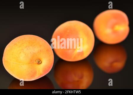 Drei reife süße Bio-Aprikosen, Nahaufnahme, auf schwarzem Hintergrund. Stockfoto