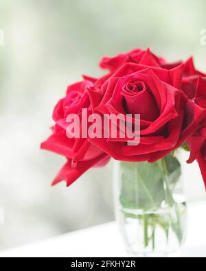 Rose rote Farbe Blume blüht in klarem Gras verschwommener Hintergrund, schöne Bouquet Kopie Raum Konzept für Text-Design vor Hintergrund für b schreiben Stockfoto