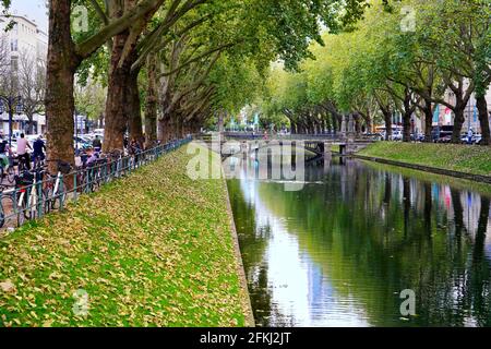 Der wunderschöne grüne Stadtkanal „Kö-Graben“ an der Königsallee in Düsseldorf - ein Stück grüne Natur im Herzen der Stadt. Stockfoto