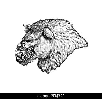 Werwolf heult auf der Mondzeichnung. Fantasy Monster Illustration. Halloween-Vorlage. Stockfoto