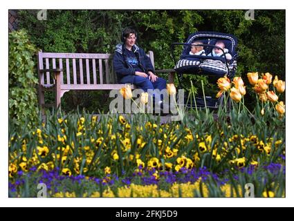 Eine Gedenkbank für Ian Dury in der Poets Corner, Pembrook Lodge, Richmond Park. Adele Taylor und die Zwillinge Rosie und Isabella genießen die Sonne und die Musik von Dury, indem sie ihre Kopfhörer in die Buchsen in den Armlehnen dieser speziellen Bank stecken.pic David Sandison 29/4/2002 Stockfoto