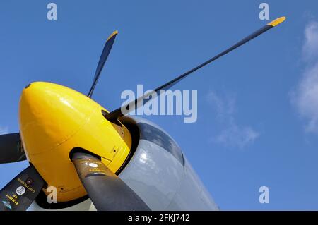 Hawker Sea Fury T.20 Jagdflugzeug des Zweiten Weltkriegs VX281 registriert G-RNHF. Nasenkonus und Propeller unter blauem Himmel. Gute Flugbedingungen Stockfoto