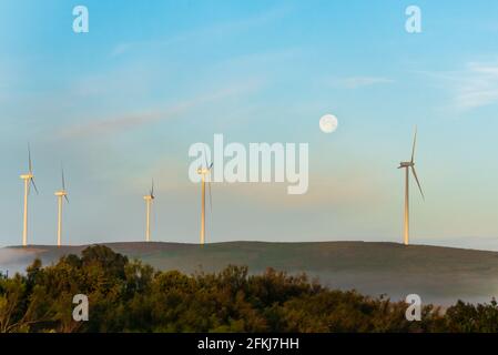 Mehrere Windturbinen oder Windmühlen im Morgengrauen, mit dem Vollmond im Hintergrund. Stockfoto