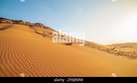 Dubai-Wüste Stockfoto