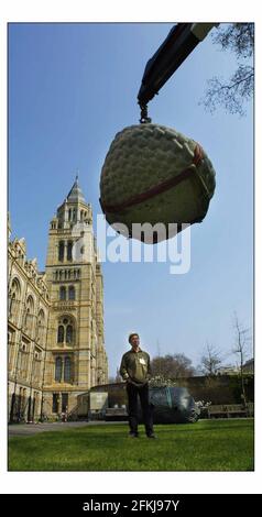 18 Tonnen Granit-Gletscherfelsen und Bronzekunst, vom britischen Bildhauer Peter Randall-Page, wurden an den Westrasen des Natural History Museums geliefert. Die Ausstellung markiert den Beginn des Frühlings. Der Künstler auf der rechten Seite hält ein Auge auf die Installation.pic David Sandison 27/3/2003 Stockfoto