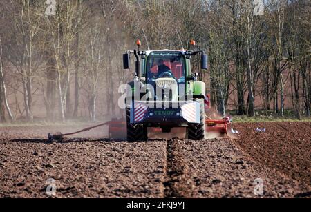 Fendt Traktor mit Horsch Bohrer Aussaat Frühlingsgerste - schottisch Landwirtschaft Stockfoto