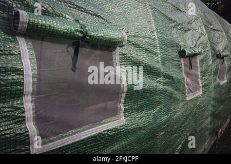 Polythentunnel als Plastikgewächshaus in einer Zuteilung mit Gemüse im Garten anbauen Stockfoto