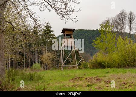 Hölzerner Huntsman-Hochsitz am Waldrand Vor einer Wiese mit hellem Hintergrund Stockfoto