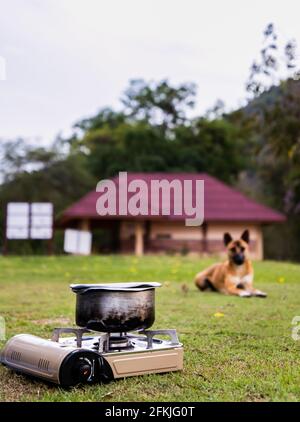 Zelten und Kochen von Reis aus dem Topf auf dem Picknickherd oder tragbaren Gasherd. Und lassen Sie einen Hund sitzen und warten, während Reis gekocht wird. Selektiver Fokus. Stockfoto