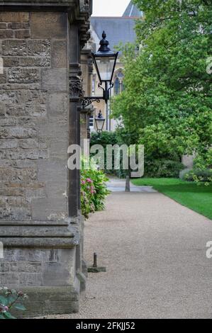 Blick auf Gebäudefassade, Bäume und Rasen vom Trinity College Front Quad, Oxford, Großbritannien. Bedecktem Himmel. Stockfoto